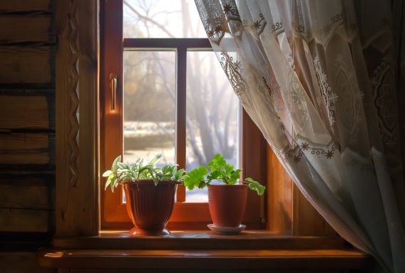 Holzfenster
